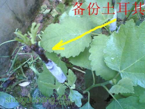 Image(4202)_����.jpg