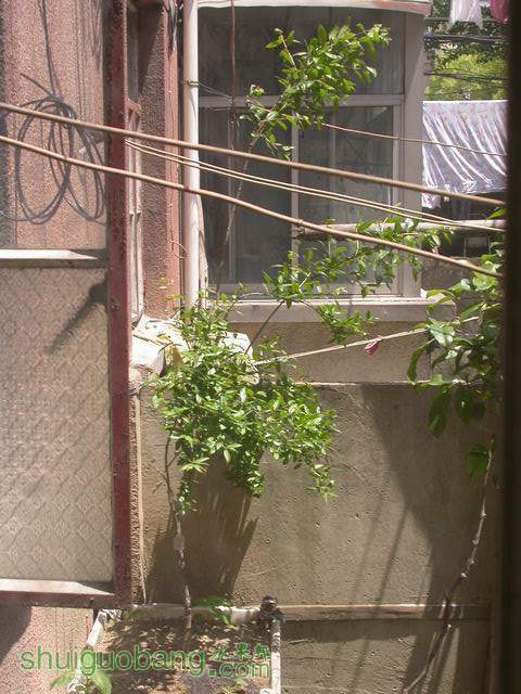 DSCN6989.JPG