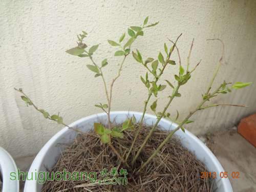 DSC03277_.jpg