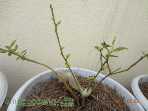 DSC03279_.jpg