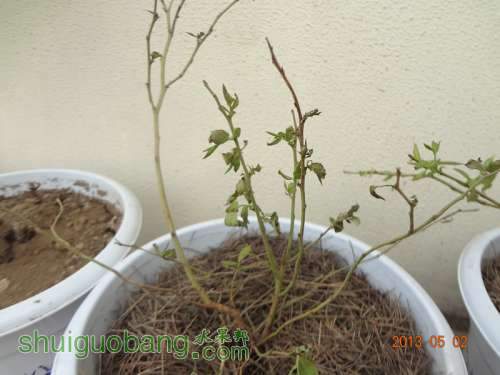 DSC03280_.jpg
