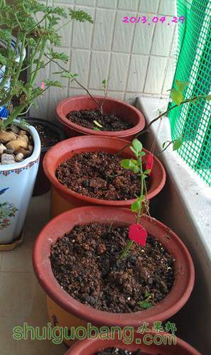 IMAG0104_����.jpg
