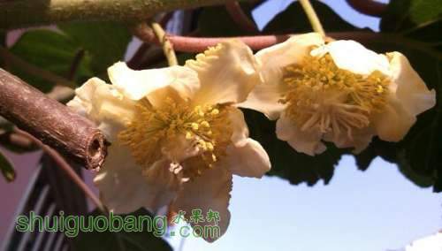 IMG_20130501_163610.JPG
