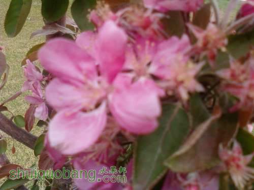 Ƭ-0297.jpg
