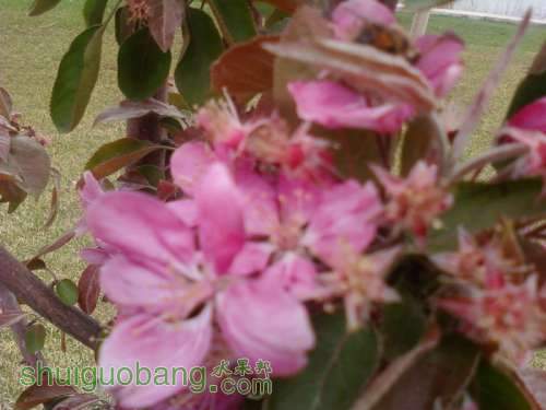 Ƭ-0298.jpg