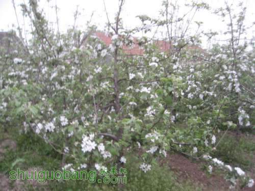 20130502 007.jpg