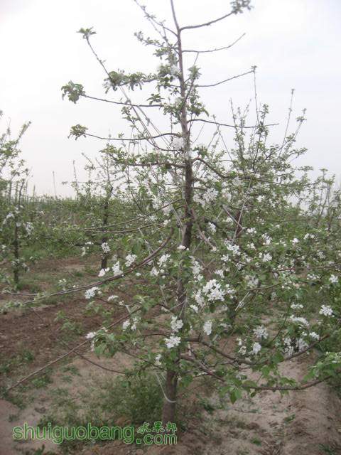 20130502 009.jpg