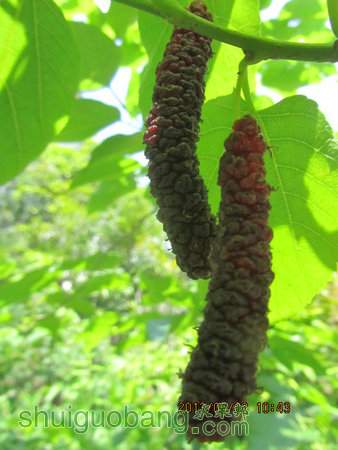 IMG_5354.JPG