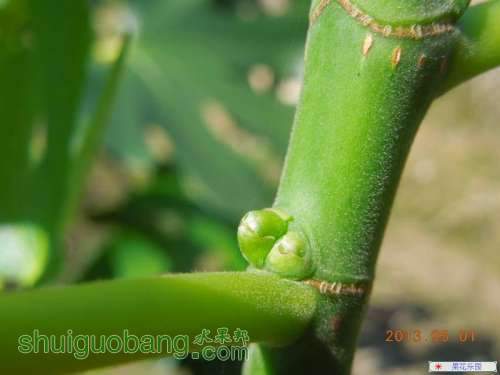 54_9_b0713e3c103abc9.jpg
