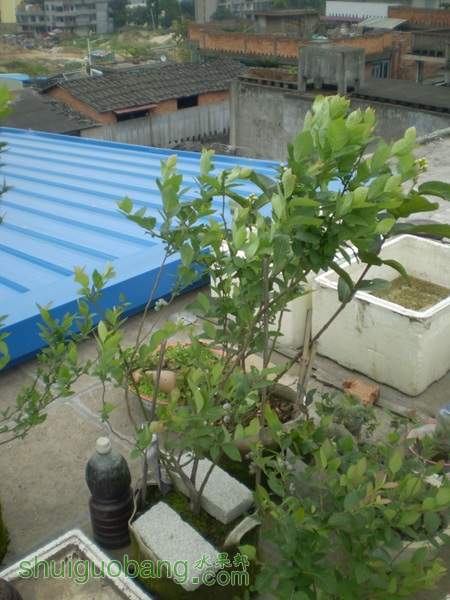 P4140001.jpg