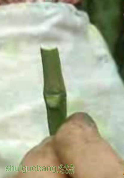 7.JPG
