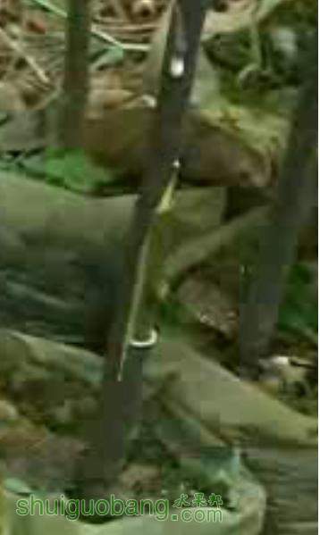 9.JPG