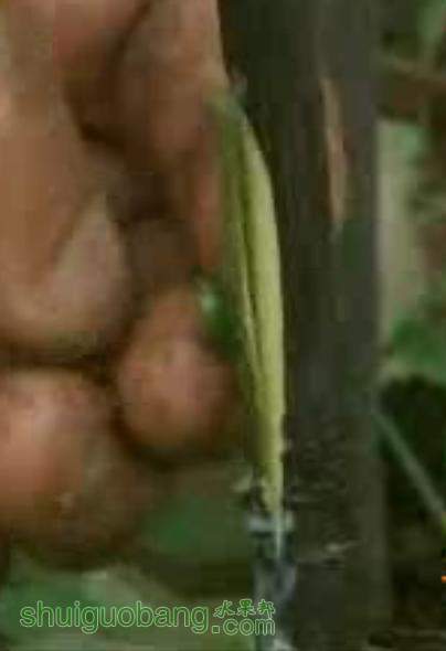 10.JPG