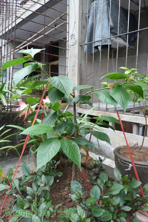 P1040164_.jpg