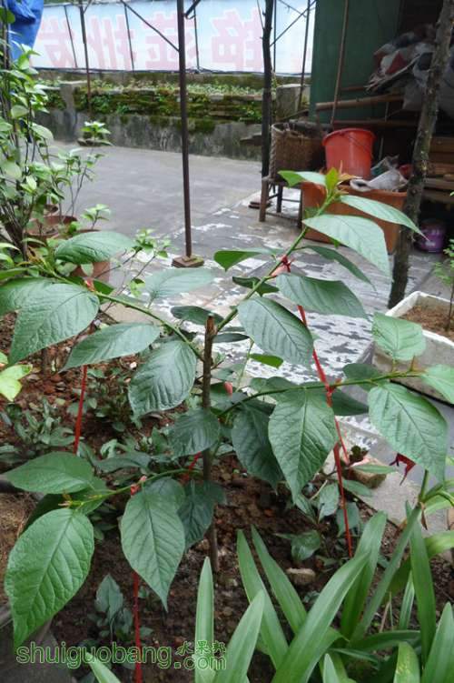 P1040166_.jpg