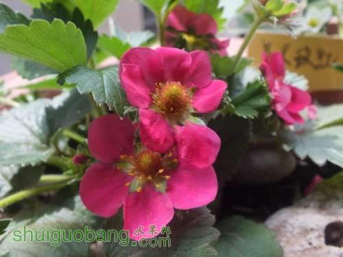 DSCF5281.JPG