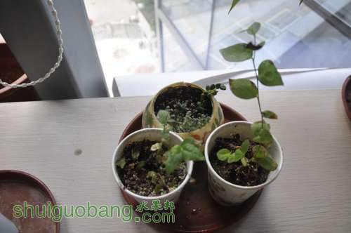 ��Ƭ 026_����.jpg