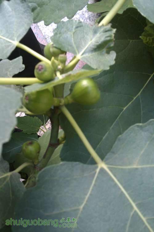 IMAG0091.jpg