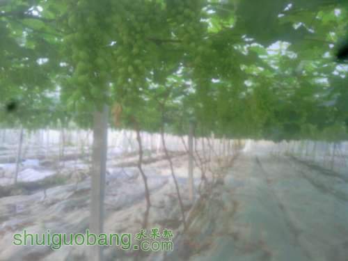 MA201305031814130011-11-000000.jpg