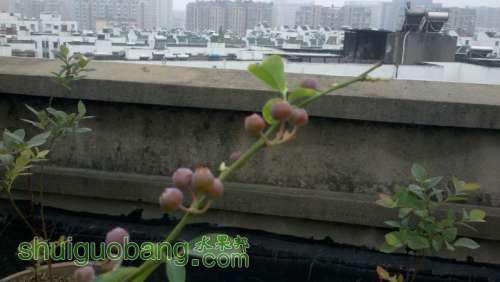 2013-05-07_08-20-24_51.jpg