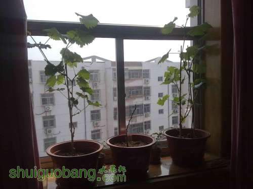 20100604747.jpg