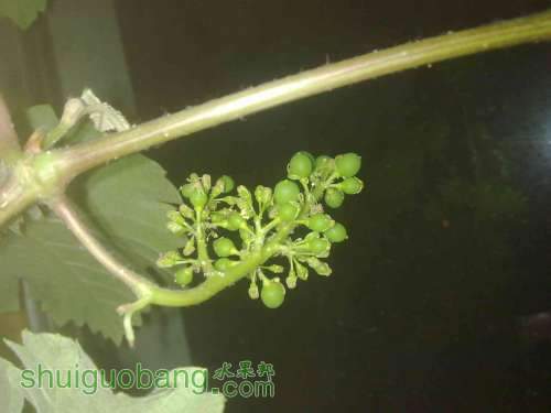 20100712752.jpg