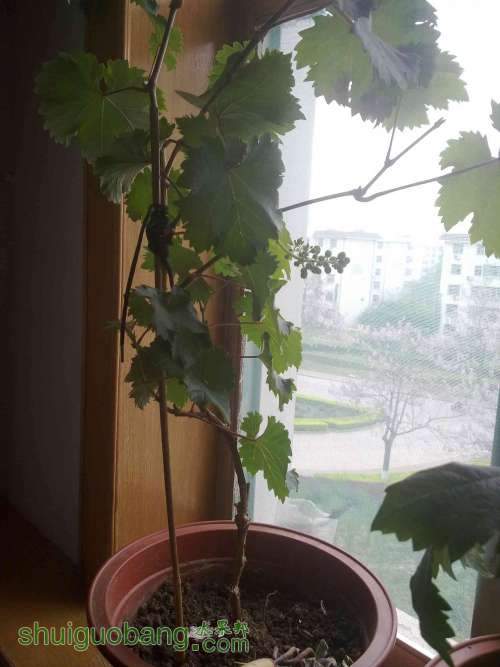 20100716754.jpg