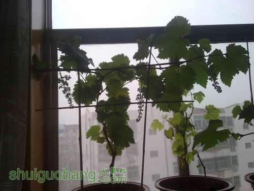 20100716757.jpg