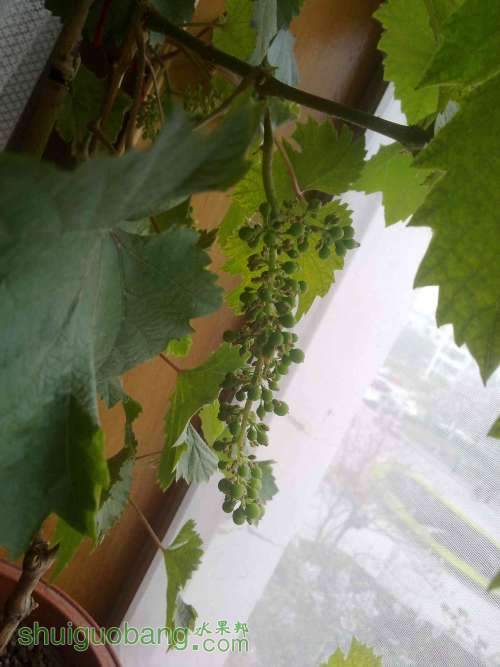 20100716760.jpg