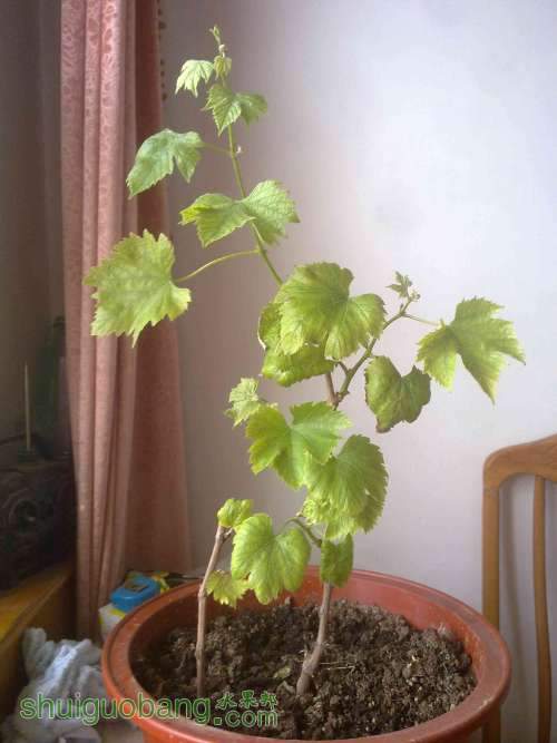 20100716761.jpg