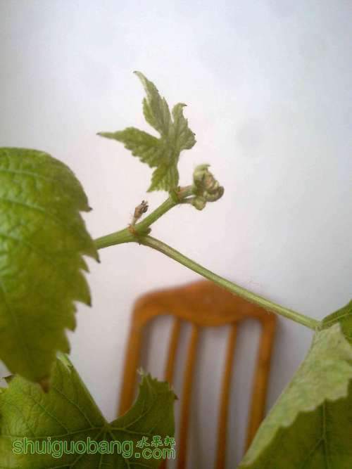 20100716764.jpg