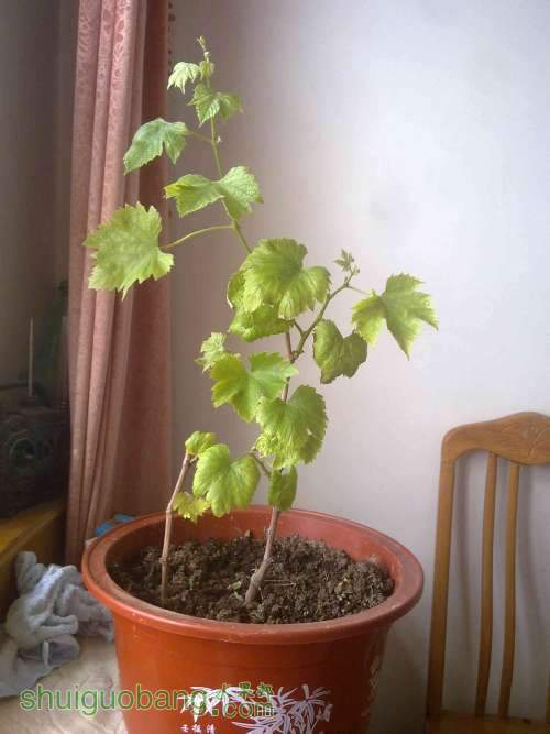 20100716765.jpg