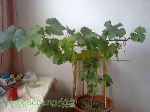 20100716766.jpg