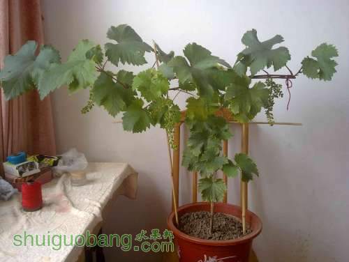 20100716767.jpg