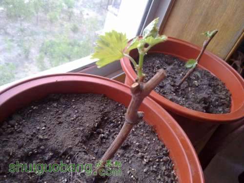 20120519173.jpg