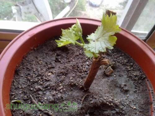 20120519174.jpg