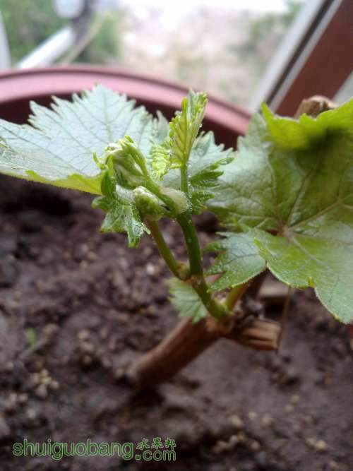 20120522178.jpg
