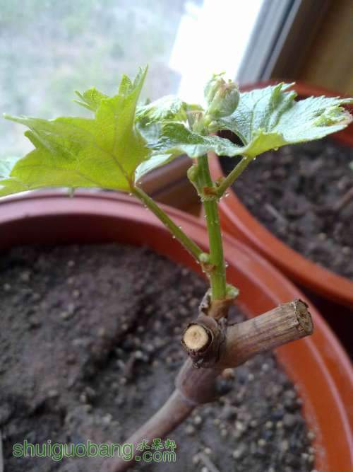 20120522179.jpg