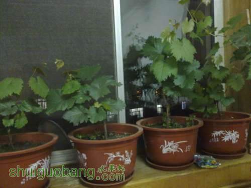20120702287.jpg