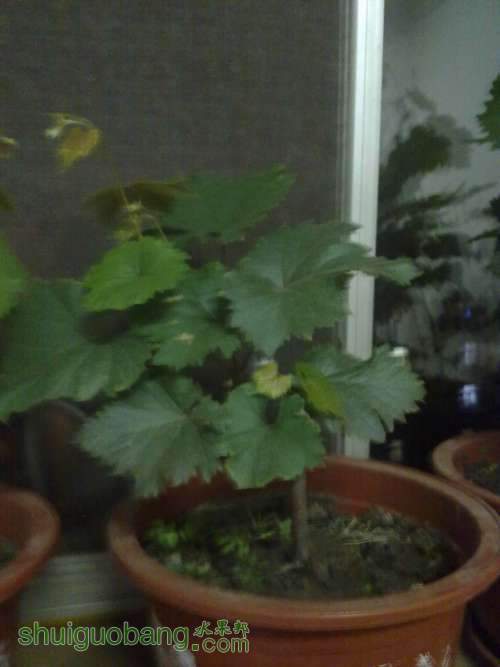 20120702290.jpg