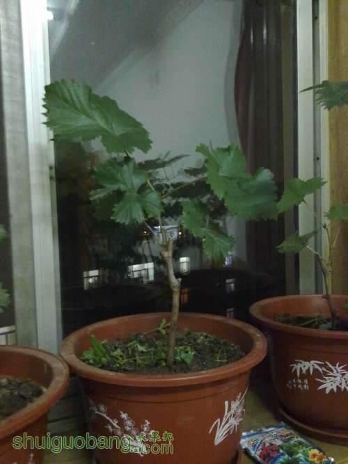 20120702292.jpg
