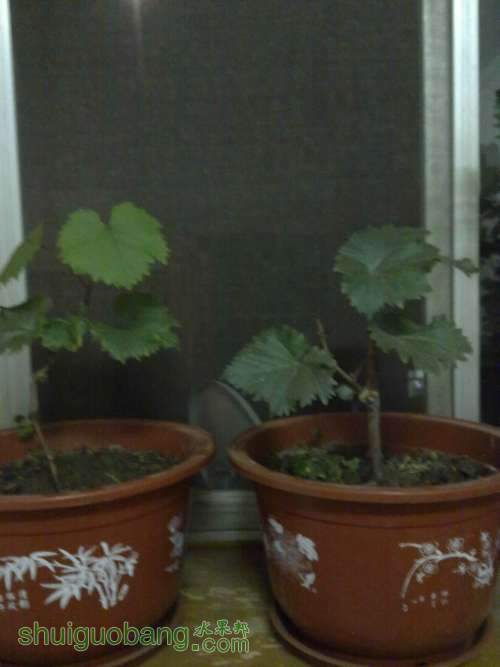 20120702293.jpg