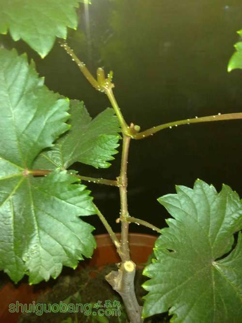 20120702297.jpg