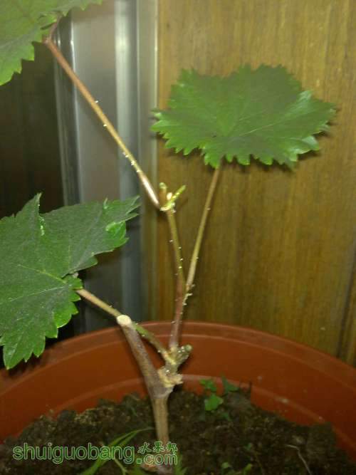 20120702299.jpg