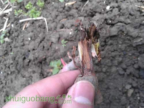 WP_000938.jpg