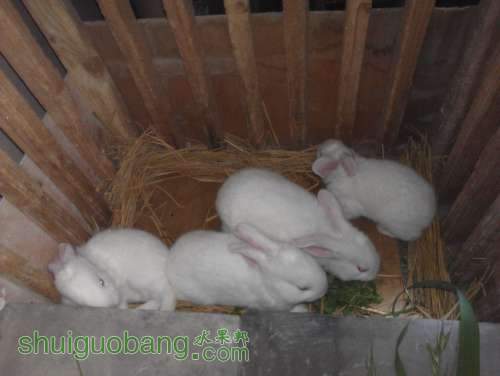 WP_000879.jpg
