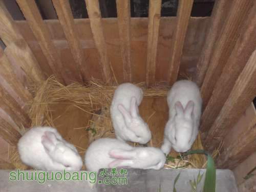 WP_000880.jpg