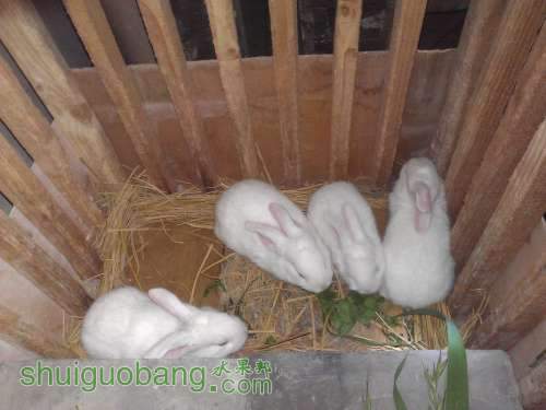 WP_000881.jpg