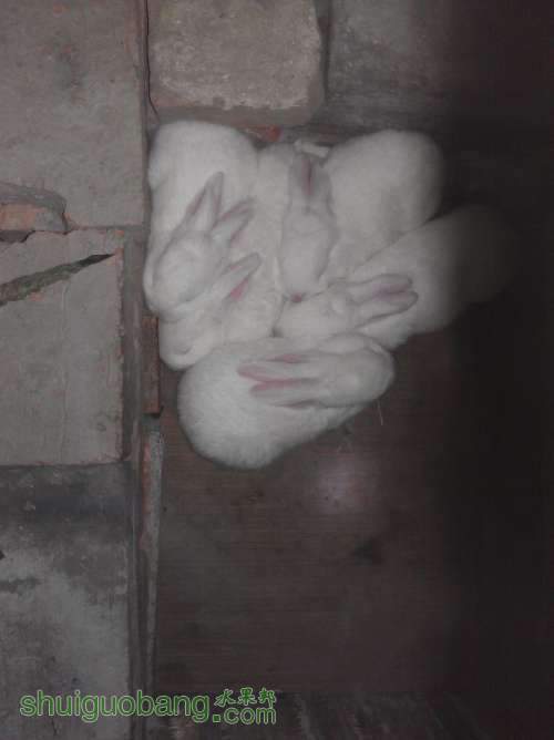 WP_000884.jpg