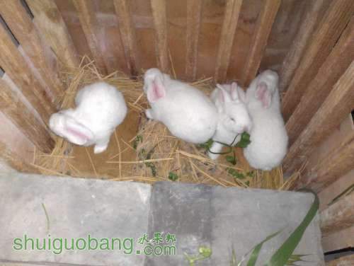 WP_000890.jpg